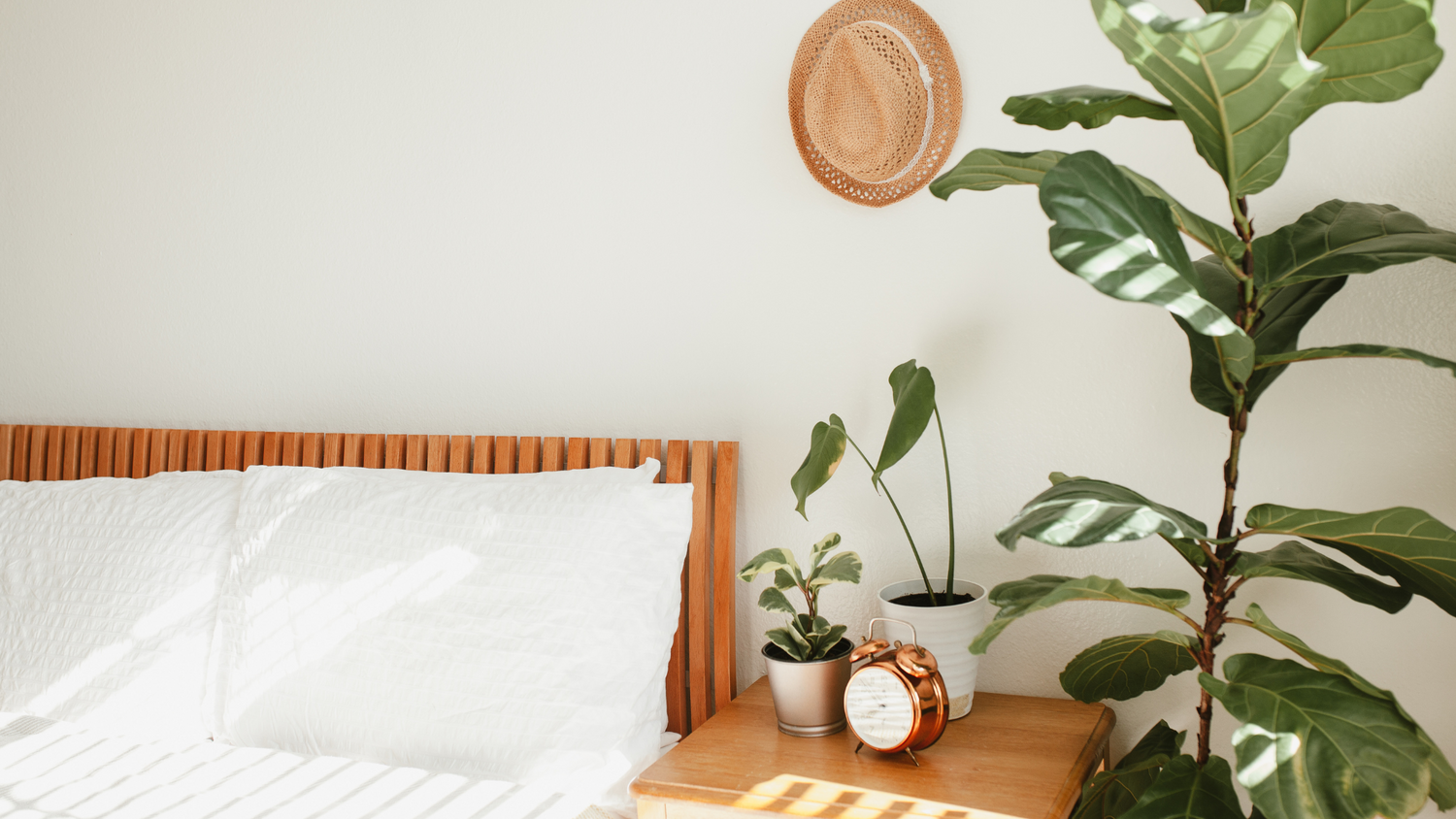 Bed and plants